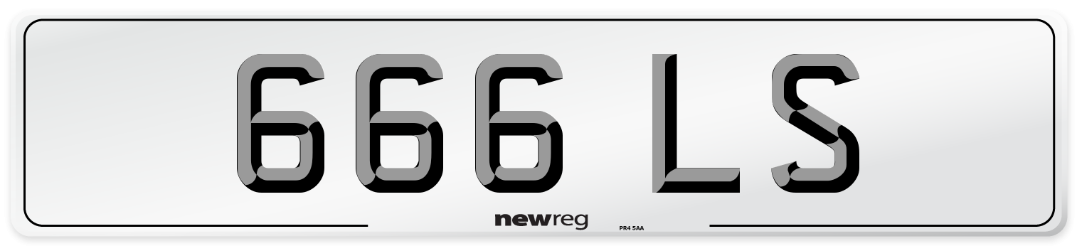 666 LS Number Plate from New Reg
